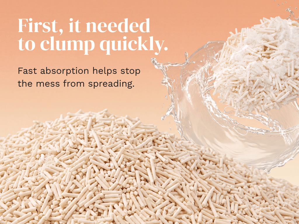 Close-up of tofu litter pellets with text: First, it needed to clump quickly