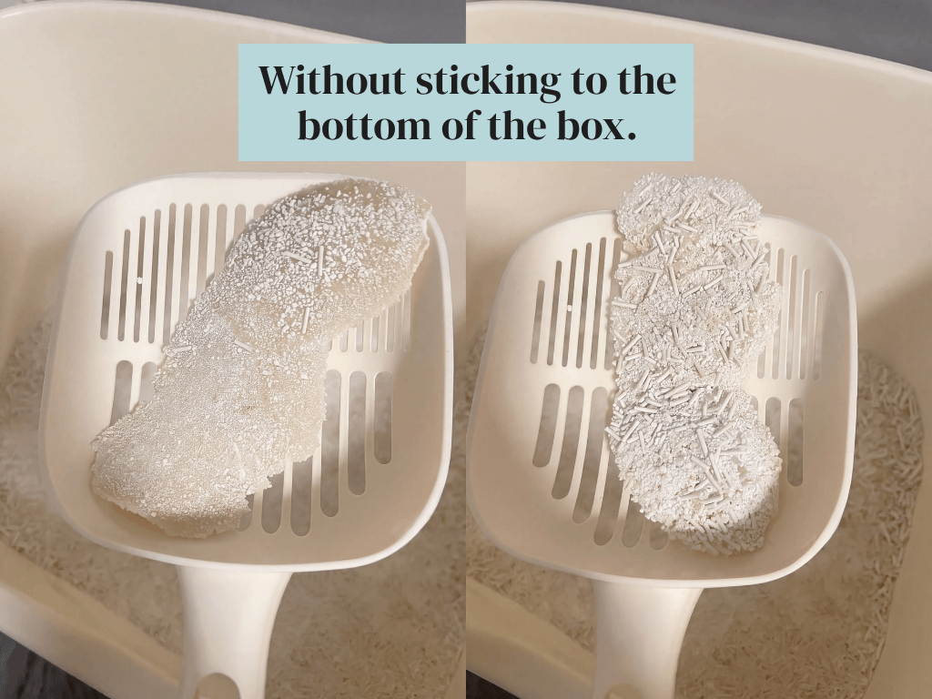 Litter scoops with tofu litter clumps that don't stick to the bottom of the box