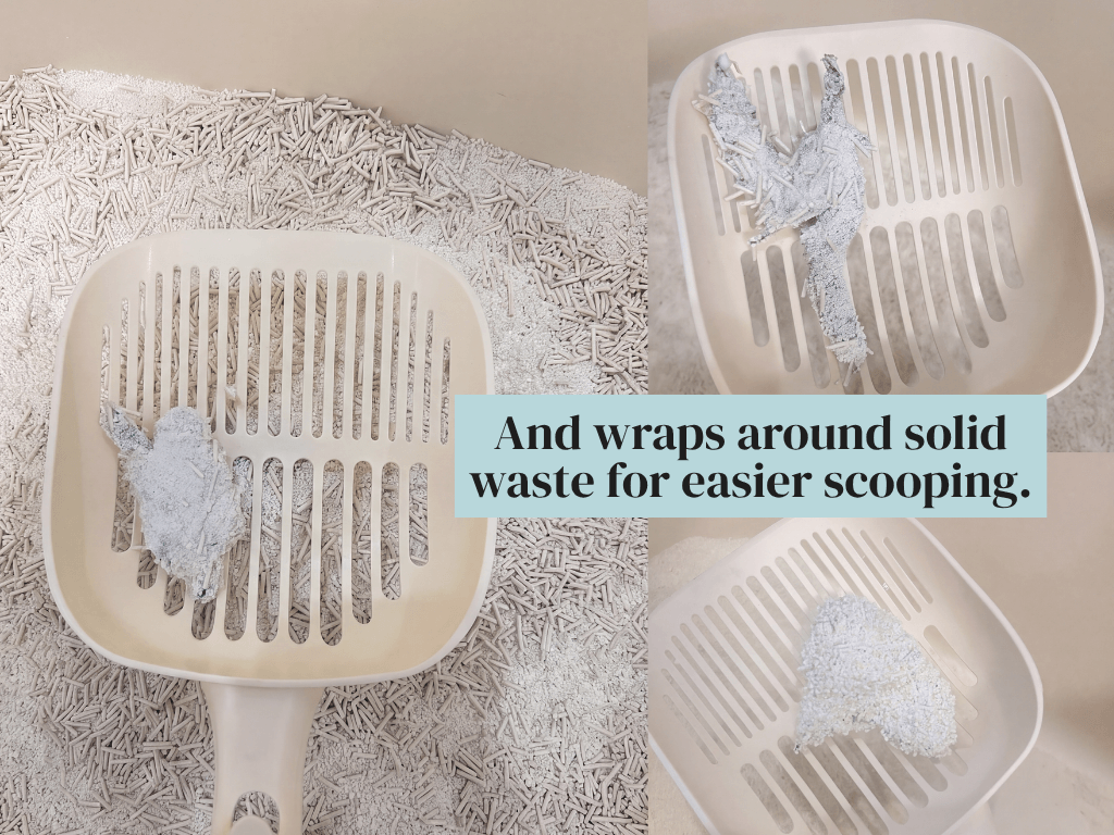 Litter scoop lifting clumps, showing how Purrfectly tofu litter wraps around solid waste for easier scooping