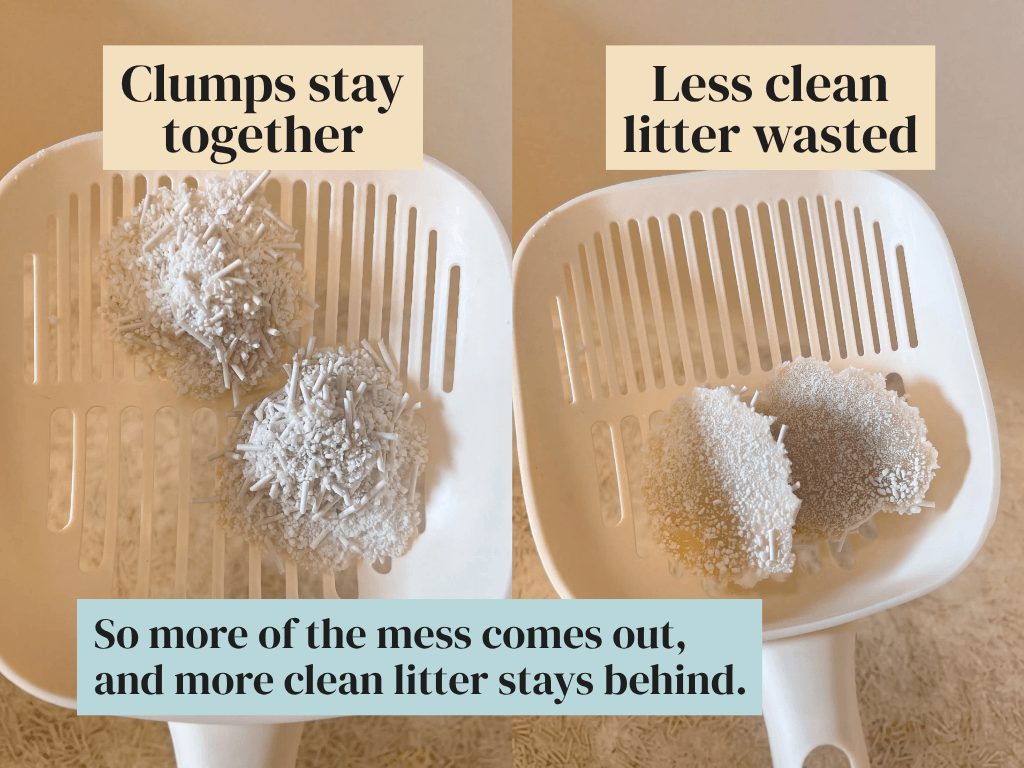 Two scoops showing tofu litter clumps stay together, so less clean litter is wasted