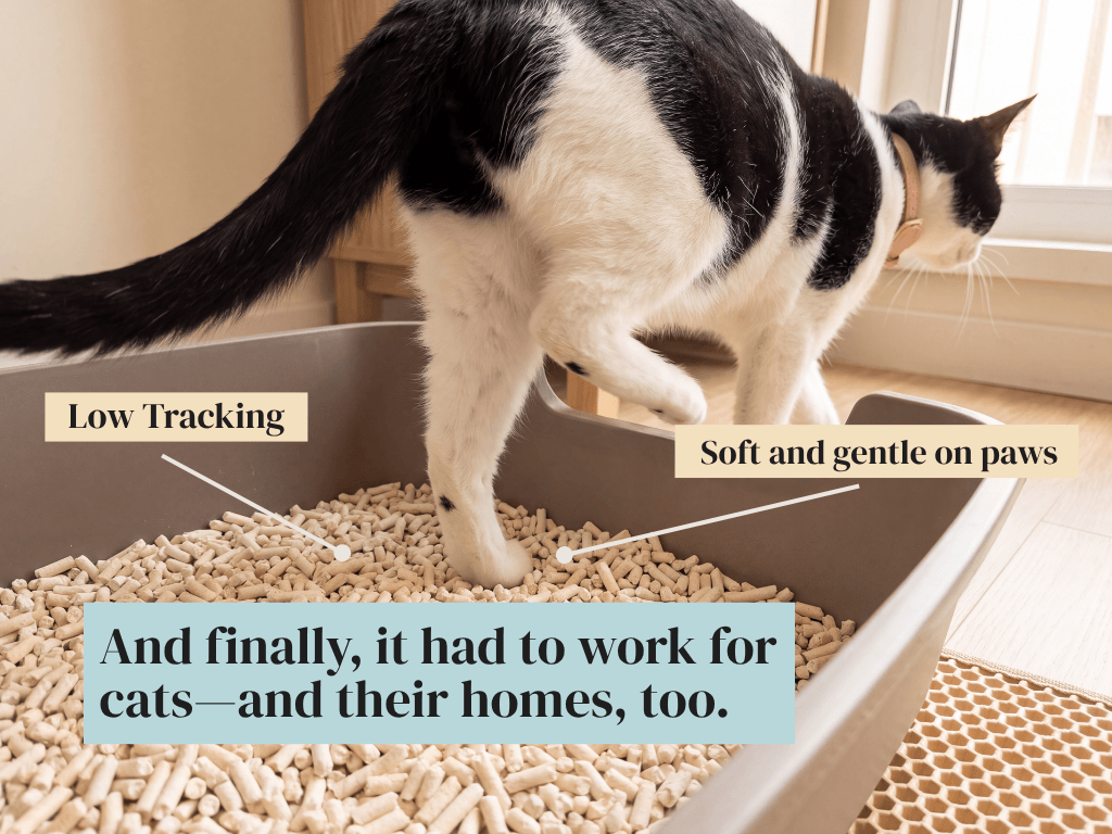 Black and white cat stepping out of a litter box; tofu litter is low tracking and gentle on paws