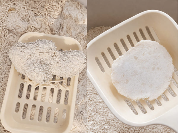 Litter scoop holding a firm clump of tofu litter