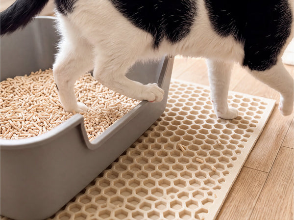 Black and white cat stepping out of a litter box onto a honeycomb litter mat