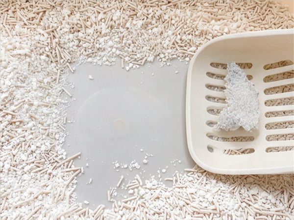 Scoop lifting a clump from tofu litter, leaving the bottom of the box clean