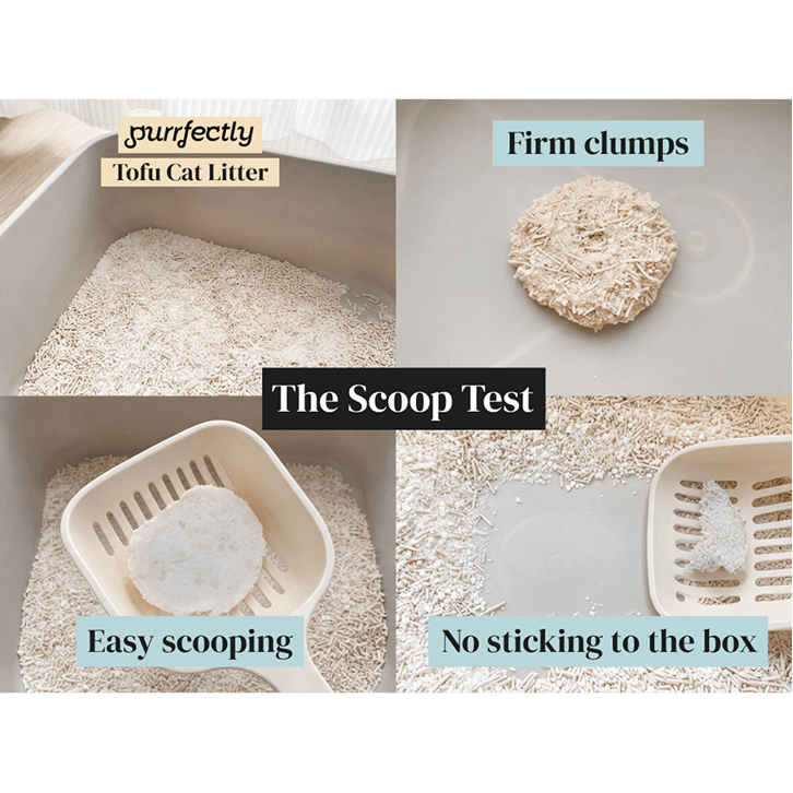 The Scoop Test: Purrfectly tofu litter forms firm clumps, scoops easily and doesn't stick to the box