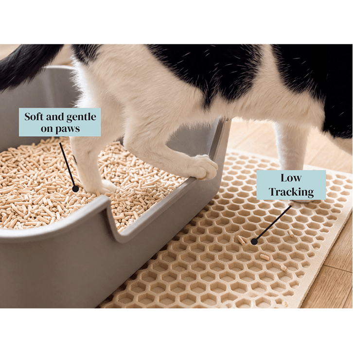 Cat stepping out of a litter box onto a mat, showing tofu litter is low tracking and soft on paws